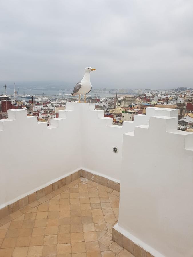 Maison Medina, Terrasse Panoramique, Vue Mer Tanger Zewnętrze zdjęcie